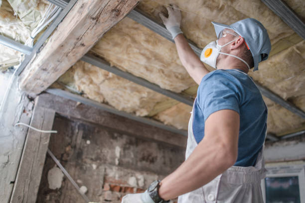 Best Specialty Insulation in Tioga, TX