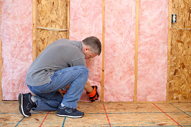 Best Insulation Installation Services in Tioga, TX